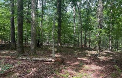Mill Road, Little Mountain, SC 29075