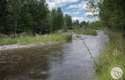 31 Painted Lane, Roberts, MT 59070