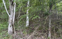 0 Waterwalk Court, Smithville, TN 37166