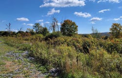 44 Highpoint Drive, Factoryville, PA 18419