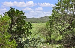 Cr 119, Burnet, TX 78611