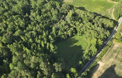Kirk Trail, HOLLADAY, TN 38341