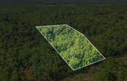 635 Quail Lane, Monticello, FL 32344