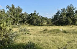 1 Cave Wells Ranch, Menard, TX 76841