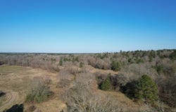 Reeves Rd, Garrison, TX 75945