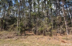 Brooklyn Road, Great Falls, SC 29055