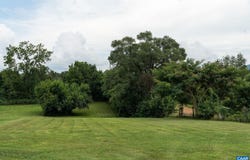 816 NEWTOWN RD, ELKTON, VA 22973