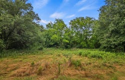 436 Grady, Mount Vernon, TX 75457