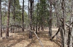 Private Drive 1754 blk 2 lot 24, Chama, NM 87520