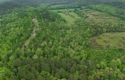 TBD Ryan Road, Oden, AR 71961