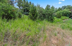 1185 Scheel Lane, Fenton, MO 63026