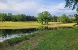 0 County Rd 317, Woodville, AL 35776