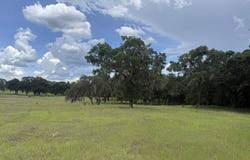 0 NW 190th Ave, Dunnellon, FL 34432