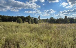 Polk Road 178, Mena, AR 71953