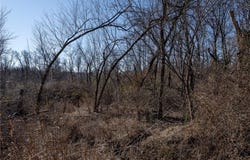 TBD - Tract 3 Stillhouse Springs  RD, Bentonville, AR 72713