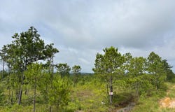 Tract 4 Tom Cat Road, Gadsden, AL 35903