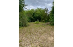 3+/- Acres Grove Rd, Hartford, AL 36344