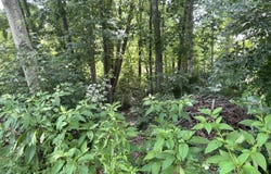 7925 Widdecomb Rd, Powell, TN 37849