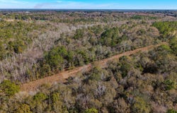 0 Cuthriell Rd, Samson, AL 36477