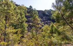 TBD S Sugarloaf Mountain RD lot: 1, Hartford, AR 72938