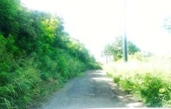 201 La Vallee NB, St. Croix, VI 00850