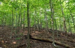 0000 Grandview Road, Traverse City, MI 49684