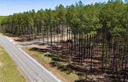 4670 Raulston Falls Road, Jasper, TN 37347