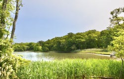 1 Meadow Street, Shelter Island Heights, NY 11965