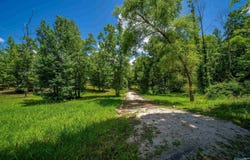 2.36 Acres County Road 336, Piedmont, AL 36272