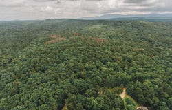 0 WENDWOOD CIRCLE, MUNFORD, AL 36268