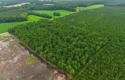 Saintsville Road, Greenville, NC 27834