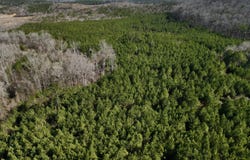 3002 US-231, Vincent, AL 35178