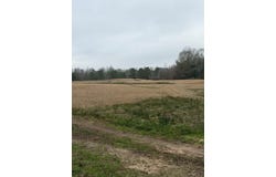 71 THOMAS ED RUSTIN RD, LAUREL, MS 39443