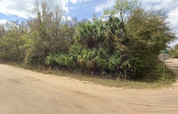 ANNETTE AVENUE, INTERLACHEN, FL 32148
