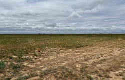 3000 County Road 5, Southland, TX 79364