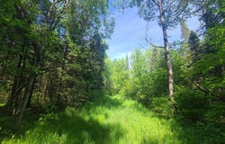 ON OLD 8 RD W, Prentice, WI 54556