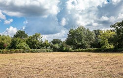 2 Acres Red Fox Road, Tomball, TX 77377