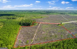 Tract 4 Morris Break, Odum, GA 31555