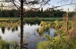280A Camp One, Republic, MI 49879