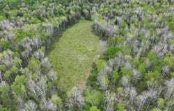 17858  Amber Lake Rd, Bruce Crossing, MI 49912