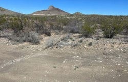 Terlingua, TX 79852
