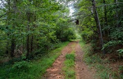 13.59 Ac Ridgeway Church Road, Ellijay, GA 30540