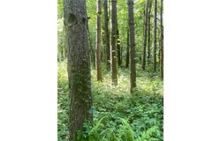 Xxx Brown Lane, Pepin, WI 54759