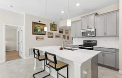 4810 MAGNETITE LOOP, MOUNT DORA, FL 32757