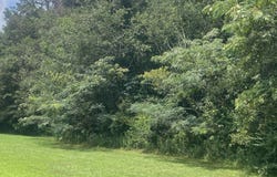 0001 Summerville Road, Boaz, AL 35957
