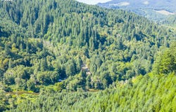 26835 CECIL LN, Alsea, OR 97324