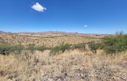 1322 Via Patricia, Rio Rico, AZ 85648