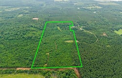 3536 & Tbd CR 1579, Avinger, TX 75630