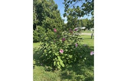 150 Crab Orchard Road, Frankfort, KY 40601