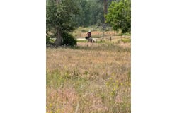 NHN Mystic River Road, Stevensville, MT 59870